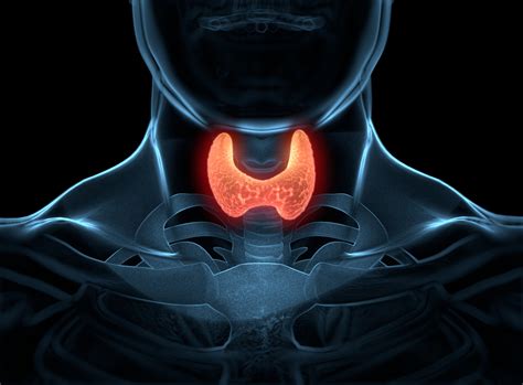 7 Things You Need To Know About Thyroid Cancer John Wayne Cancer