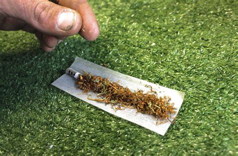 Pâte à joint moteur : Montauban: Il fume un joint dans le Palais de justice juste avant de comparaître
