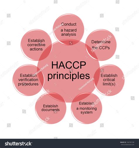 7 Principles Haccp ภาพประกอบสตอก 746787238 Shutterstock