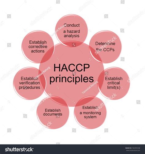 7 Principles Haccp Stock Illustration 746787238 Shutterstock