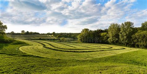 Meadow With Rows Of Drying Hay Ready For Harvest Stock Image Image Of