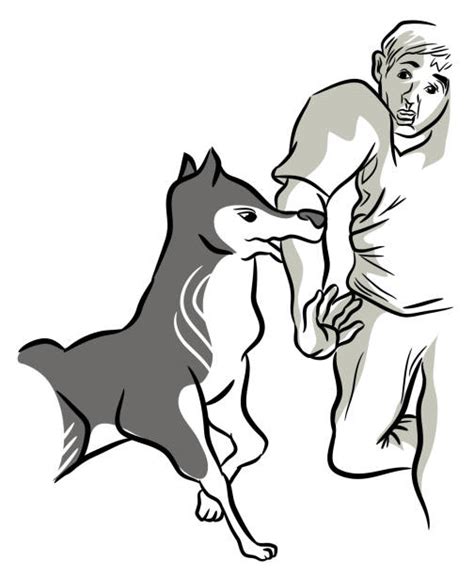 Best Dog Bite Illustrations Royalty Free Vector Graphics And Clip Art