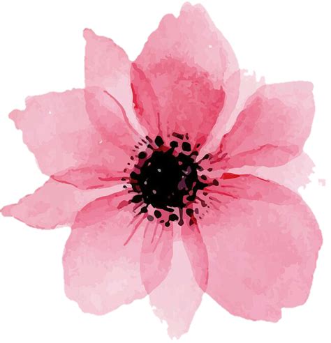 Flower overlay png, Flower overlay png Transparent FREE for download on