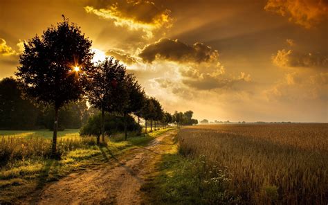 Sunlight Trees Landscape Sunset Hill Nature Building Grass Sky