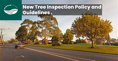 Guidelines To Provide Efficient Tree Inspections Across The Shire