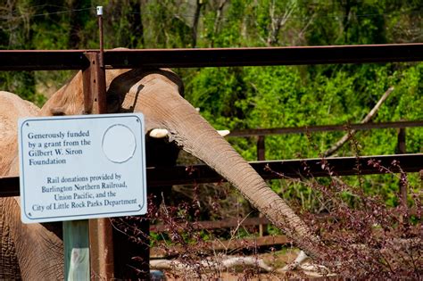 Riddle Elephant Sanctuary Flickr