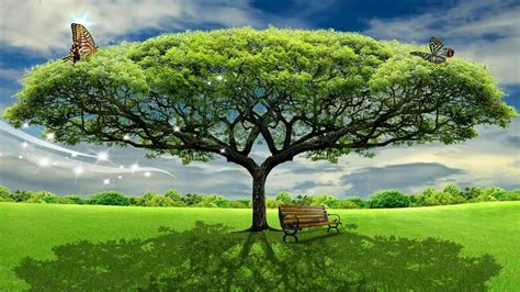 Hd 1080p Beautiful Tree Nature Scenery Video Royalty Free Landscape