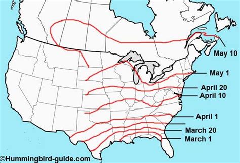 Hummingbird Migration. Spring & Fall Migration Information. 2020 Map