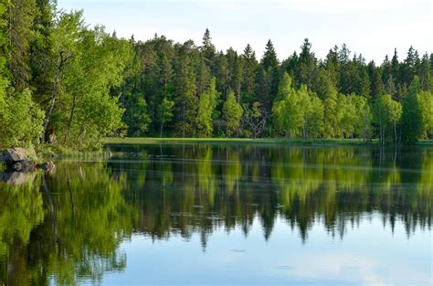 Fondos De Pantalla Lago Naturaleza Reflexión Césped Cielo Calma