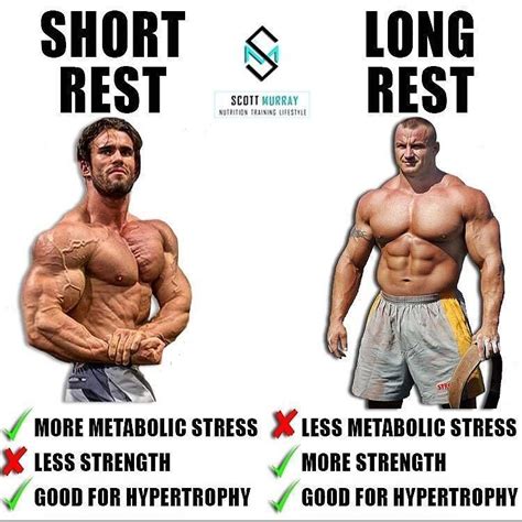 Rest Periods 101 By Smurray32 Long Rest Intervals Allow You To Fully