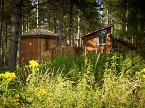 Thetford forest is the largest lowland pine forest in britain and is located in a region straddling the north of suffolk and the south of no. Thorpe Lodges in Thetford Forest, Norfolk - with a private ...