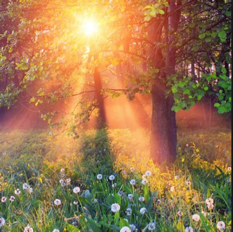 In the northern hemisphere (where the uk is) in 2020 it falls on saturday 20 june. Summer Solstice HD Images, Wallpapers - Whatsapp Images