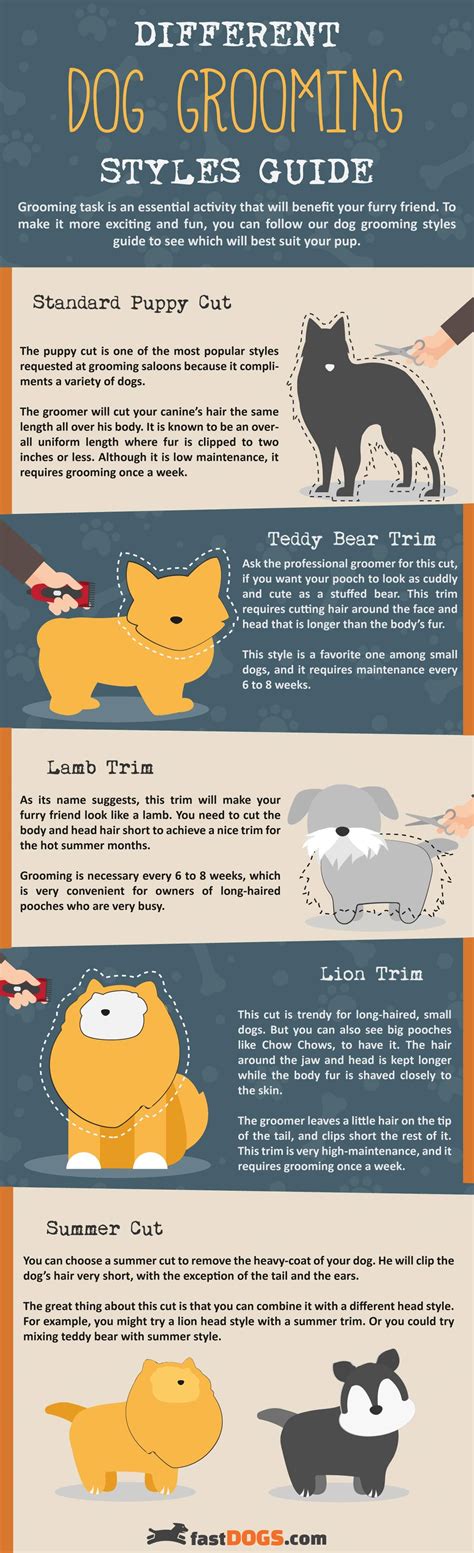 Dog Grooming Styles: Quick Guide (Infographic) - Fast Dogs | Dog