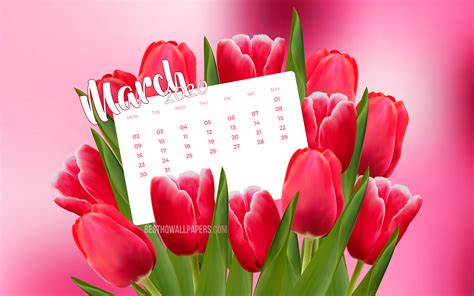 Download Wallpapers March 2020 Calendar Pink Tulips 2020 Calendar 4k