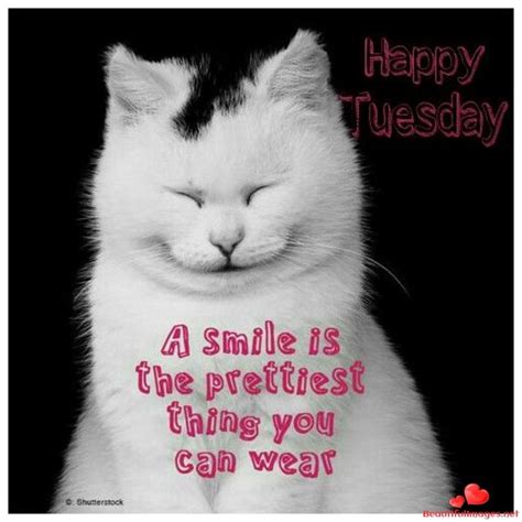 Sharing some crazy and hilarious tuesday morning funny quotes sayings, pictures and images to tickle your funny bone! Download for free wonderful tuesday quotes and blessings ...