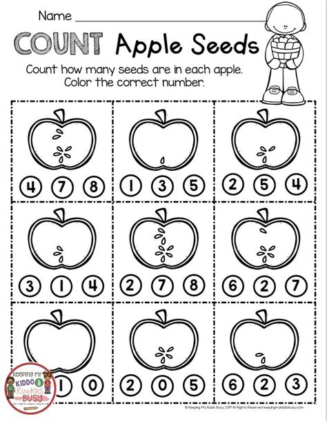 Fun Apple Counting Worksheet For Kindergarten And First Grade