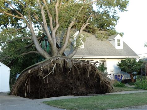 There were to distinct locations of 100+mph winds with the area near cedar rapids estimating gusts of 120+mph! SLIDESHOW: Derecho damage and recovery in Eastern Iowa
