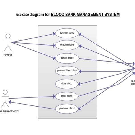 Blood Bank Management System Er Diagram Steve Porn Sex Picture Hot