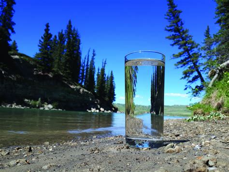 from-the-rivers-to-your-tap-how-the-city-fills-your-water-glass