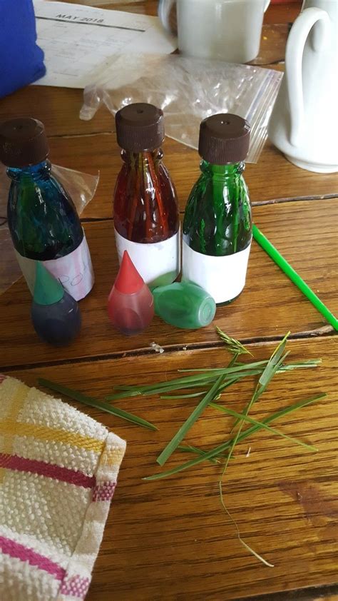 The unofficial guide to crafting the world of harry potter: Harry potter potions. | Harry potter potions, Diy projects, Diy