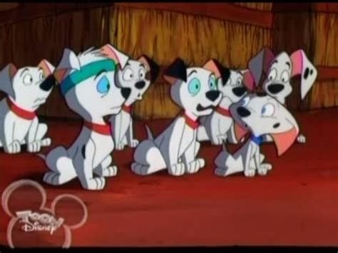 Image Lucky Cadpig Tripod Pups Television Shock 101 Dalmatians