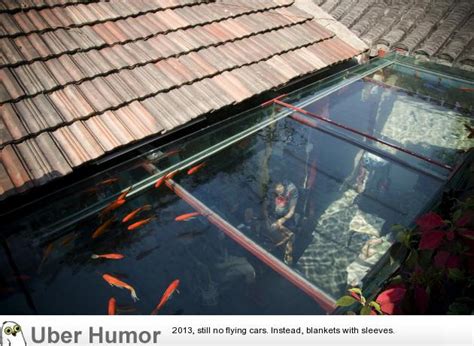 The Roof Of This Restaurant Is A Koi Pond Funny Pictures Quotes