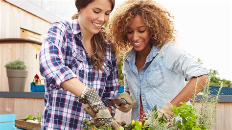 5 Ways In Which Gardening Helps Reduce Stress Legally Balanced