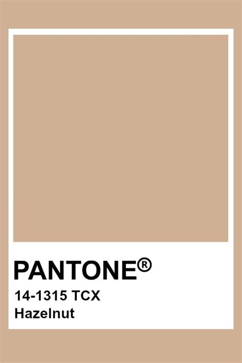 Pantone Hazelnut Paletas De Colores Neutros Colores Para Pintar