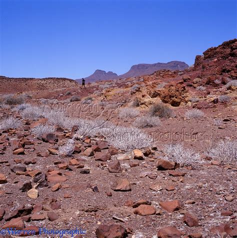 Rugged desert scenery photo WP07222