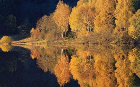 Nature Landscape Lake Forest Fall Water Reflection Trees Calm