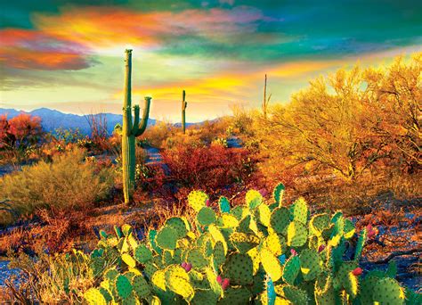 These puzzles are feast for your eyes. Desert Dreams, 1000 Pieces, Eurographics | Puzzle Warehouse