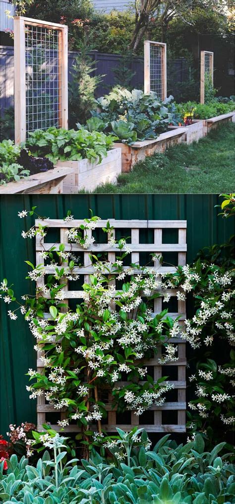 21 Easy Diy Garden Trellis Ideas And Vertical Growing Structures A