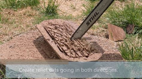 The wooden dough bowl has always had a part in the lives of the tarahumara indian people. How to Make A Homemade Wooden Dough Bowl - YouTube