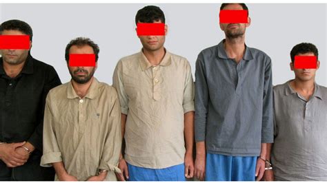 این 5 مرد زحمتکش را می شناسید؟ آنها دزدان خانه های تهرانی ها بودند عکس