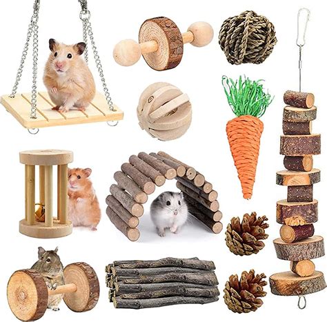 Amazon Com Hamster Toys For Real Hamsters