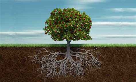 The Transformational Power Of Root Cause Investing Greenbiz