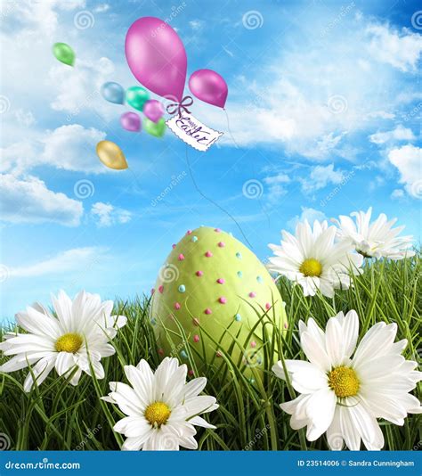 Easter Egg In The Grass With Daisies Stock Photo Image Of Color