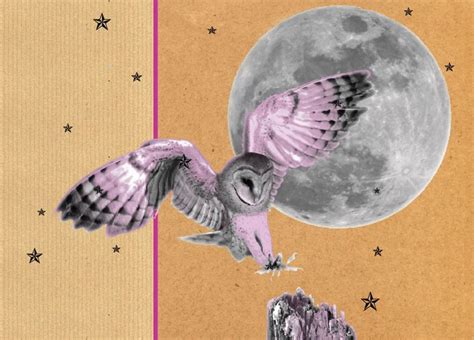 Owl And Stars Print Star Print Rooster Stars Owls Madness Flying