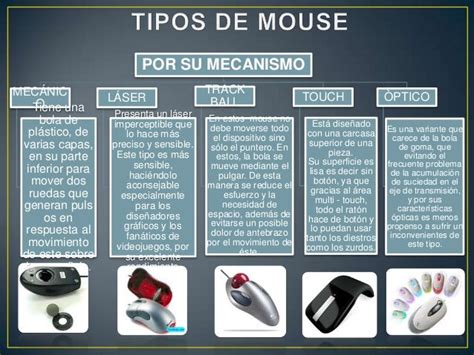 Tipos De Mouse Resumido