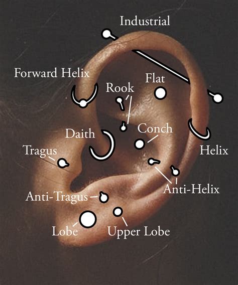 How Long Do Ear Piercings Take To Heal