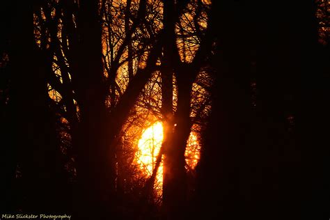 Sunset Through Trees At Sarobia State Parks Picturesque Edison