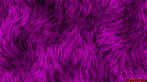 Purple Fur Wallpaper 64 Pictures