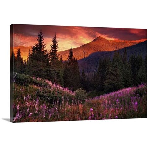 Shop Mountain Flowers In Pine Forest Canvas Wall Art On Sale Free