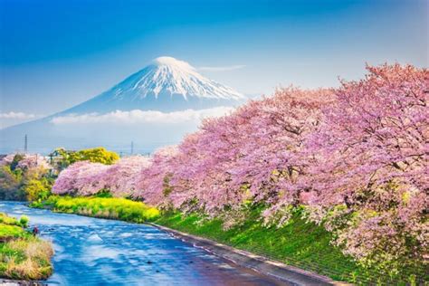 10 Amazing Things To Do In Shizuoka Japan Fromjapan