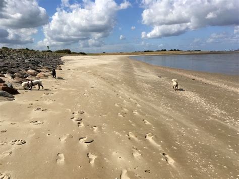 Die stadt otterndorf ist eine niedersächsische kleinstadt an der elbemündung im landkreis cuxhaven. hundeurlaub-cuxland - Fotos Strand Otterndorf