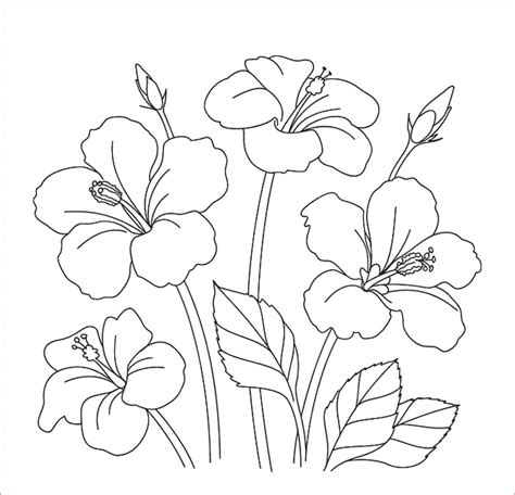 30 Gambar Sketsa Bunga Mudah Bunga Matahari Mawar Tulip Sakura