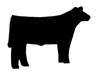 Find free silhouette vectors for your commercial and personal projects. Show Steer Silhouette | Free Download Clip Art | Free Clip ...