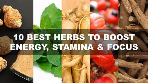 10 Best Herbs To Boost Energy Stamina And Focus Youtube