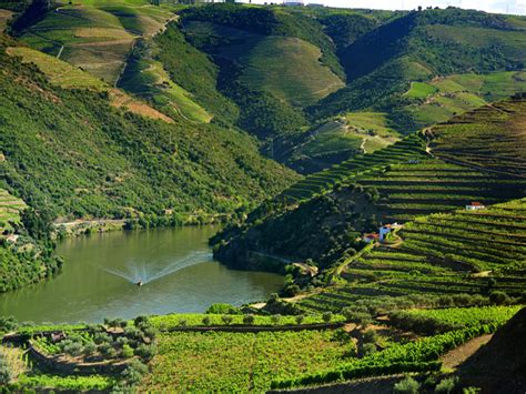 Douro Valley Private Wine Tour