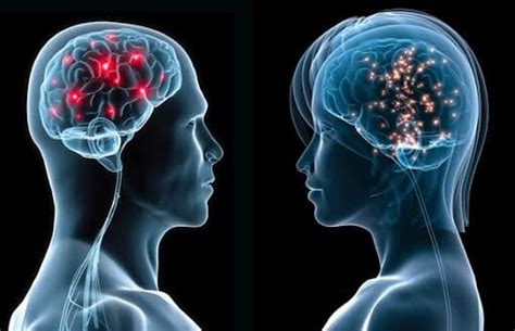 Neurofisiología Qué Es Carrera Y Mucho Más Sobre Ella